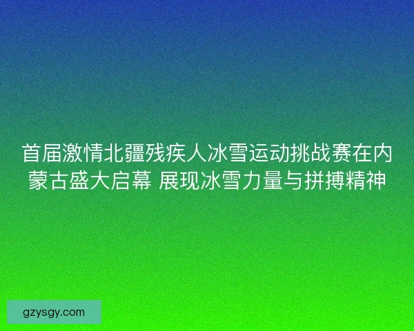 首届激情北疆残疾人冰雪运动挑战赛在内蒙古盛大启幕 展现冰雪力量与拼搏精神