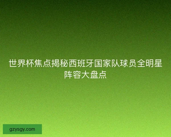 世界杯焦点揭秘西班牙国家队球员全明星阵容大盘点